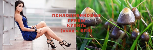 крисы Костерёво