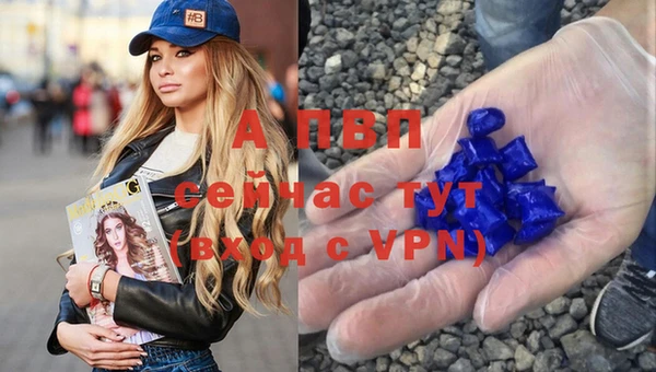 крисы Костерёво