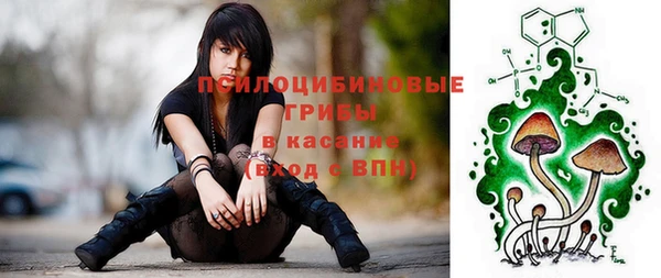 Альфа ПВП Корсаков