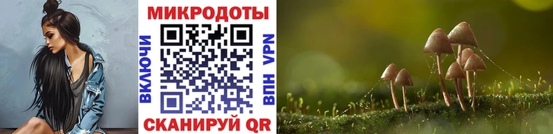 Галлюциногенные грибы MAGIC MUSHROOMS  Купить закладки  Дятьково 