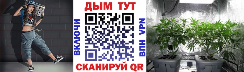 Купить где  Дятьково  Каннабис MAZAR 